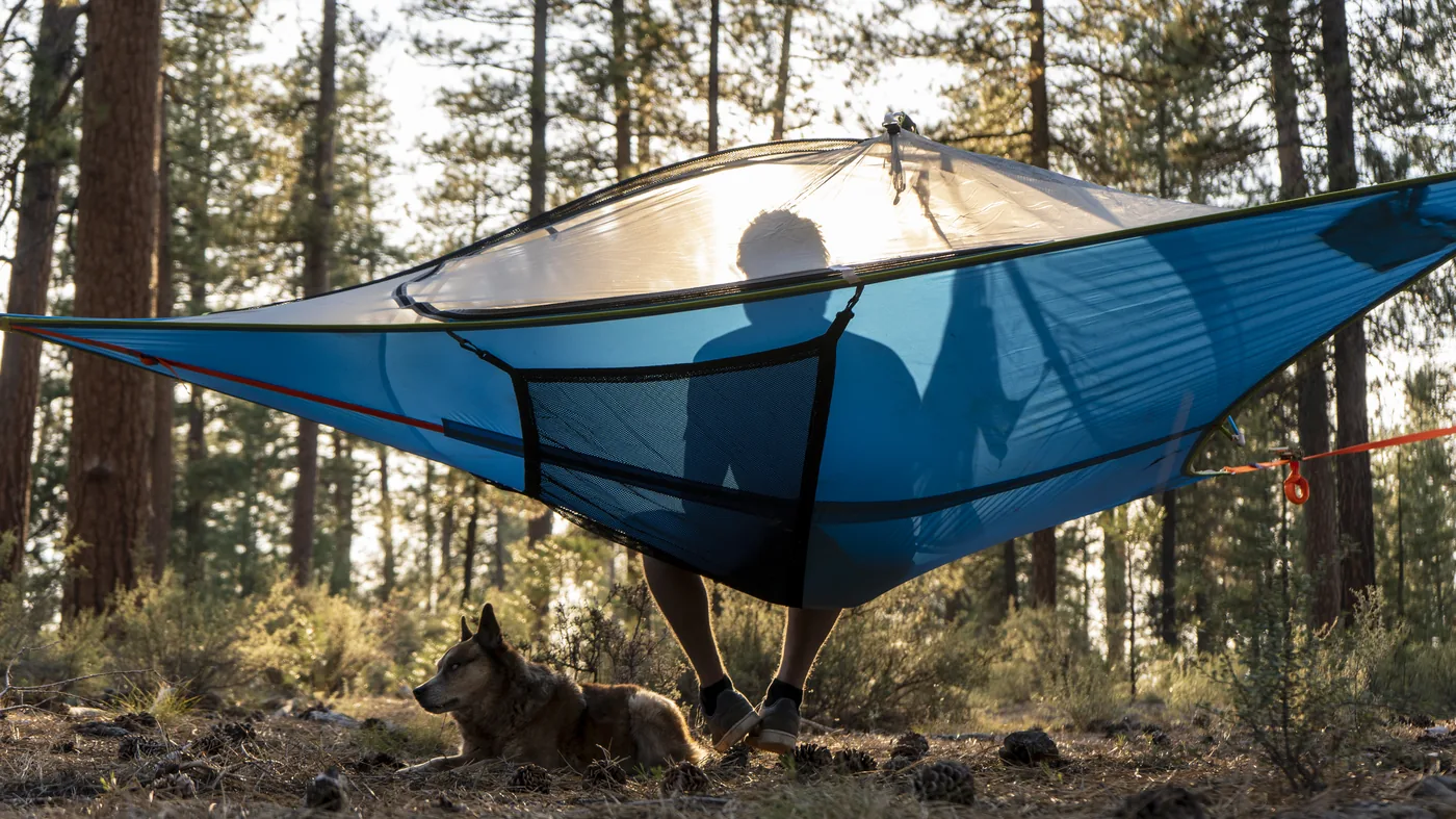 tentsile camping hammock